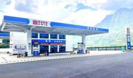 大连加油站爆料视频最新,揭露惊人内幕，真相令人震惊！